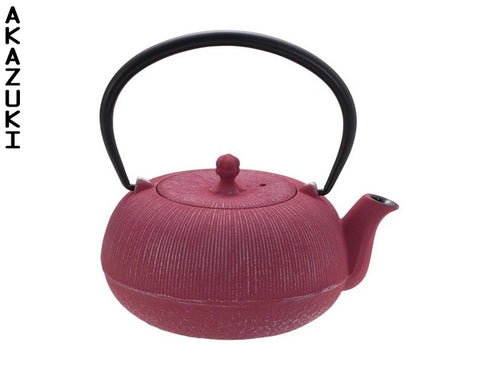 Nanbu teapot Hiramaru